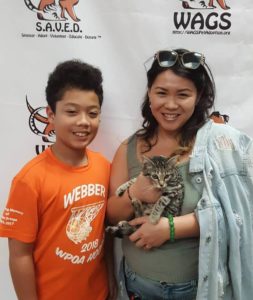 WAGS kitten was adopted