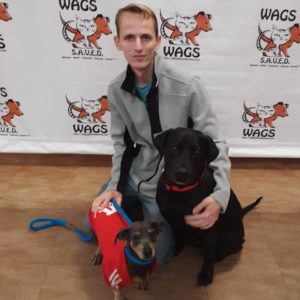 lovely dogs were adopted at WAGS