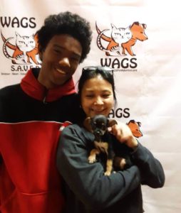 little puppy guy was adopted WAGS