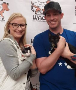 2 little cute kitten were adopted WAGS