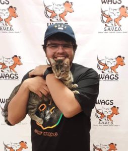 beautiful cat were adopted at WAGS