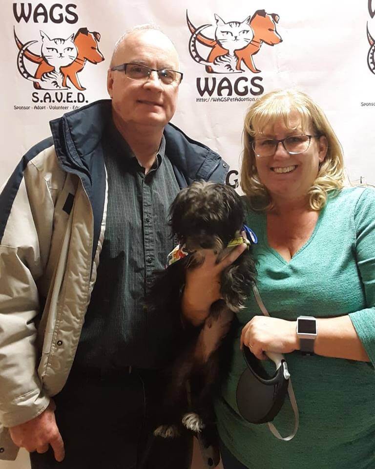 WAGS dog found new owner