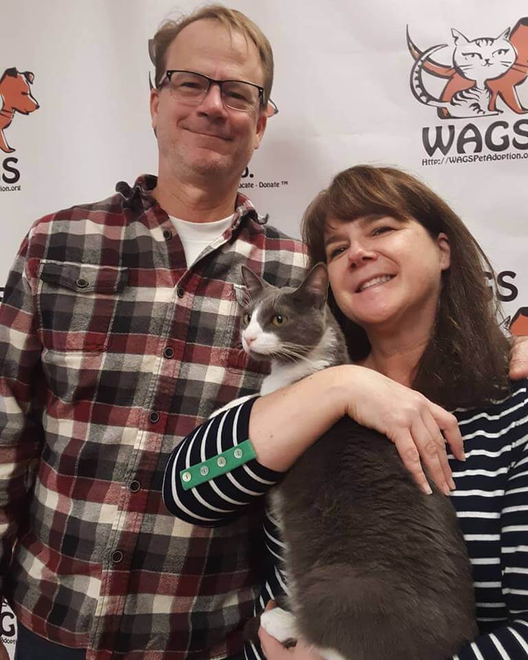 lucky cat got adopted WAGS