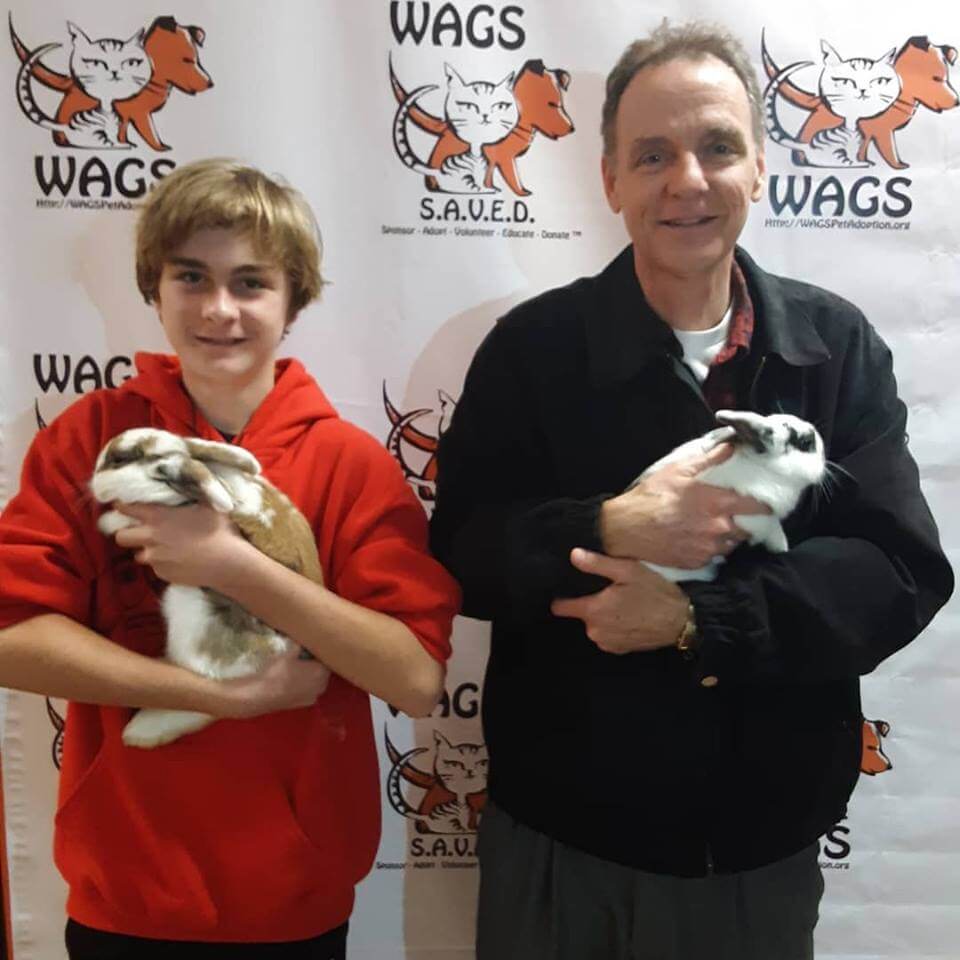 2 rabbits adopted WAGS