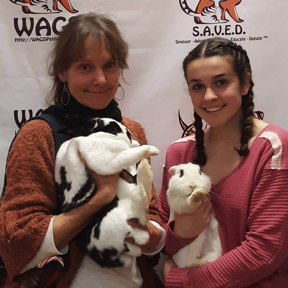 2 rabbits were adopted WAGS