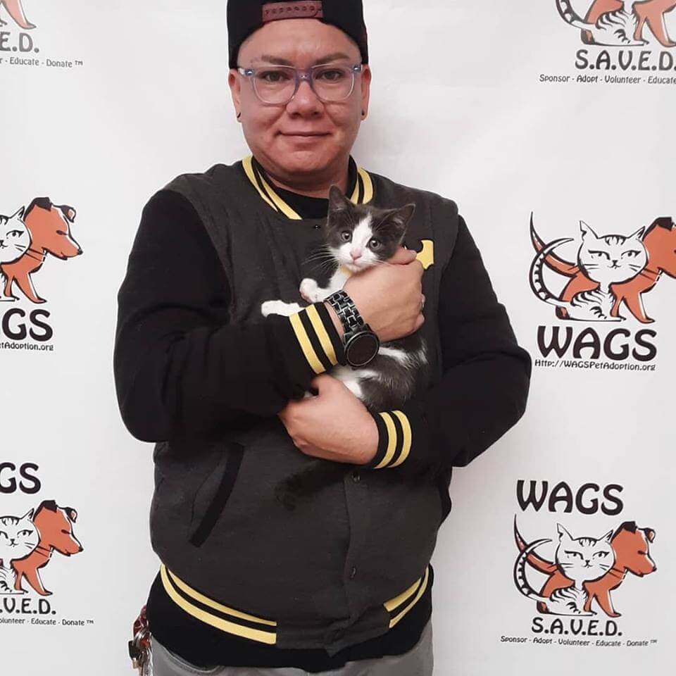 little kitten is now adopted WAGS