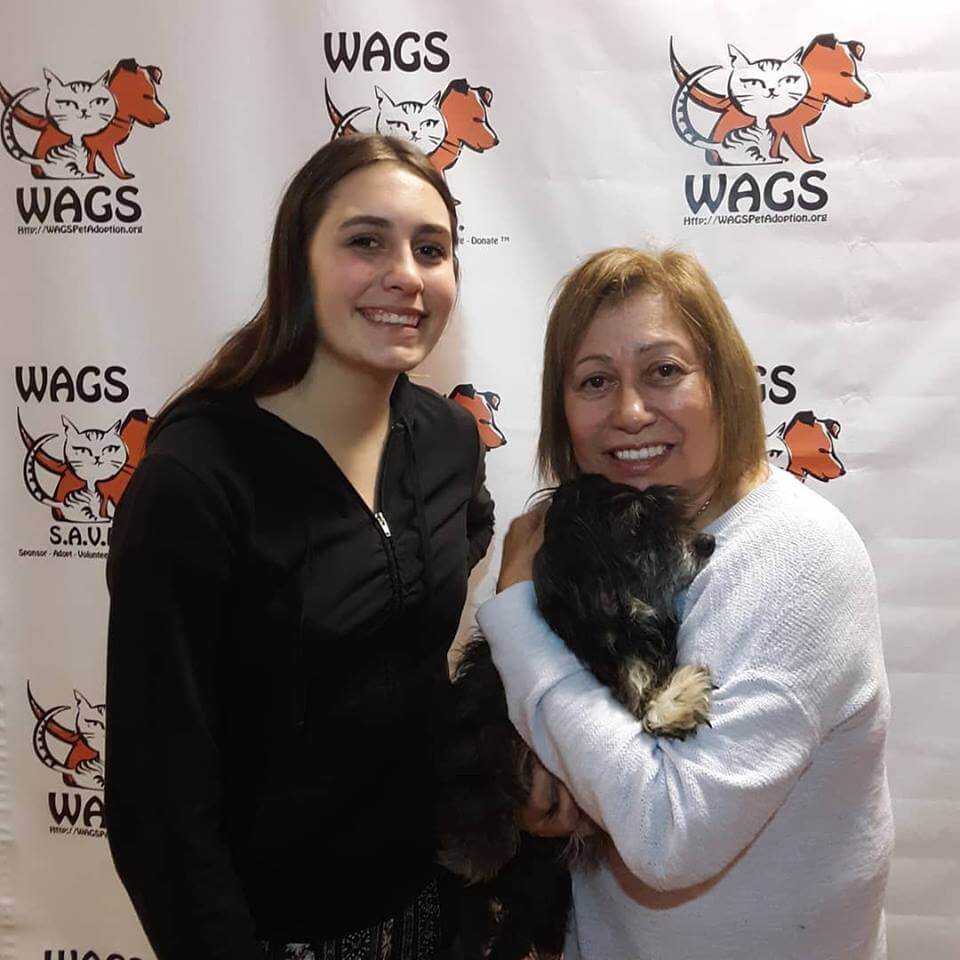 lovely dogs adopt by two ladies WAGS
