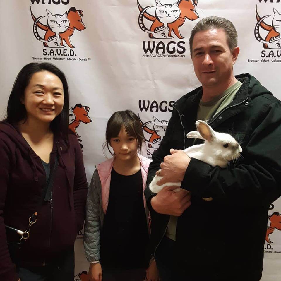 parents and their daughter adopt a rabbit WAGS