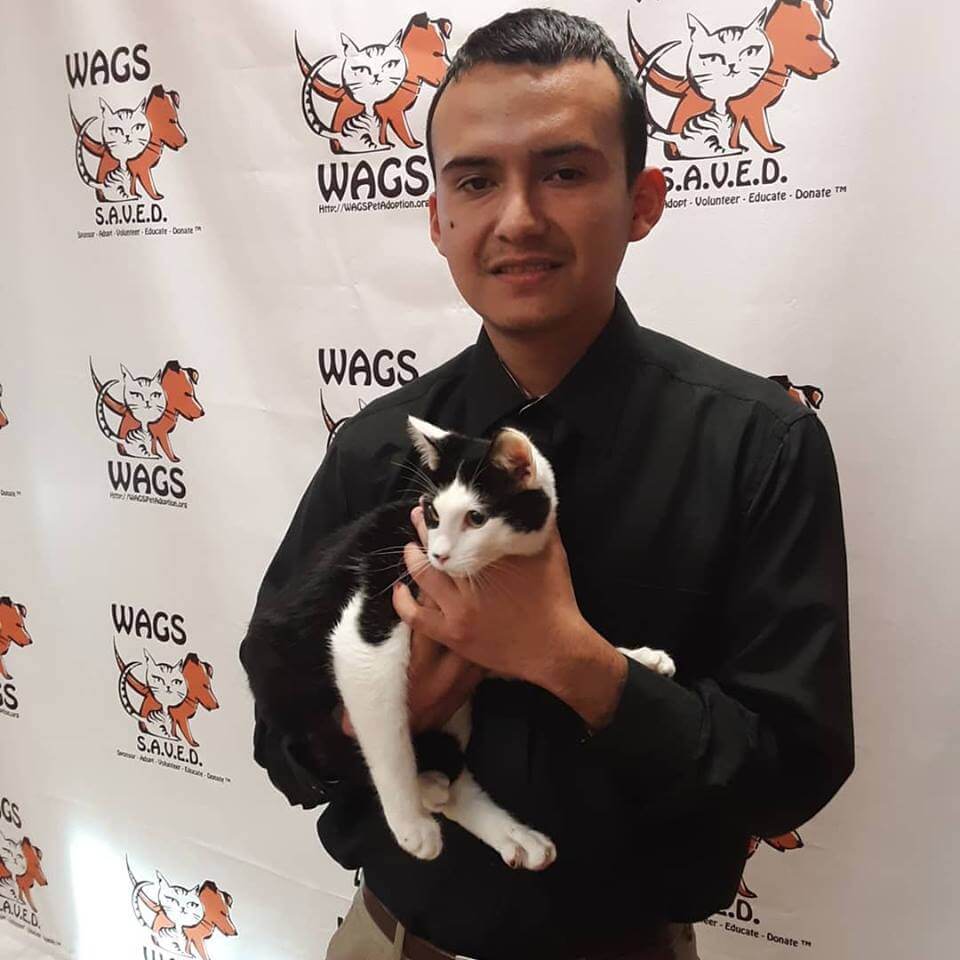 guy adopts a cat at WAGS
