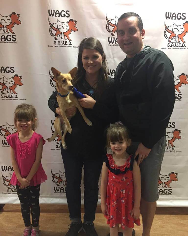 great family adopted a small dog WAGS