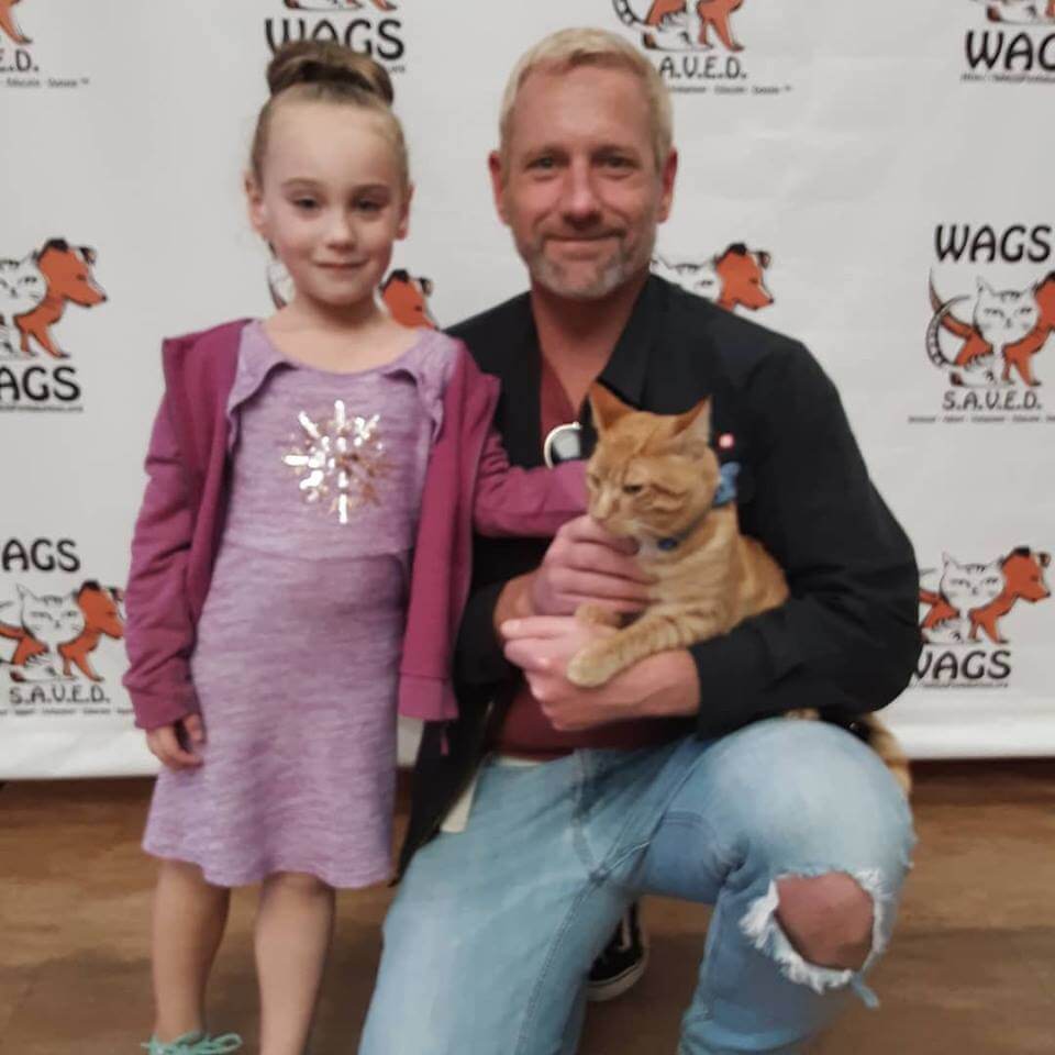 little kid and her dad adopt a cat WAGS