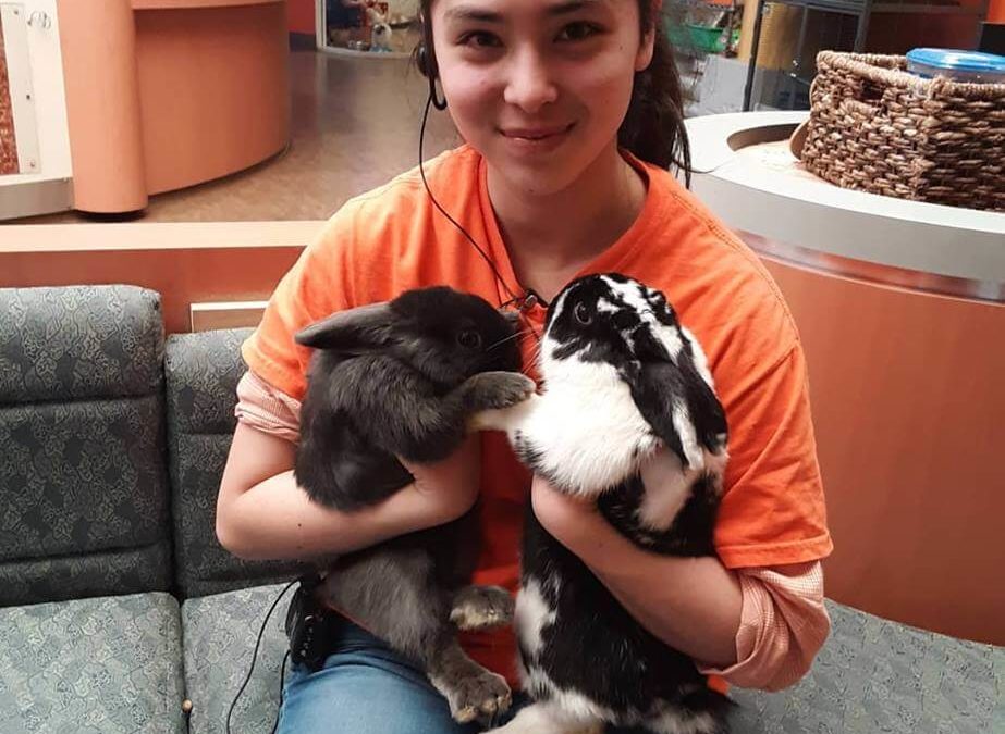 Twice the fluff, twice the fun! Jen’s wish pick are these two bun buns named Thumper (grey female) and Luner (black & white male)