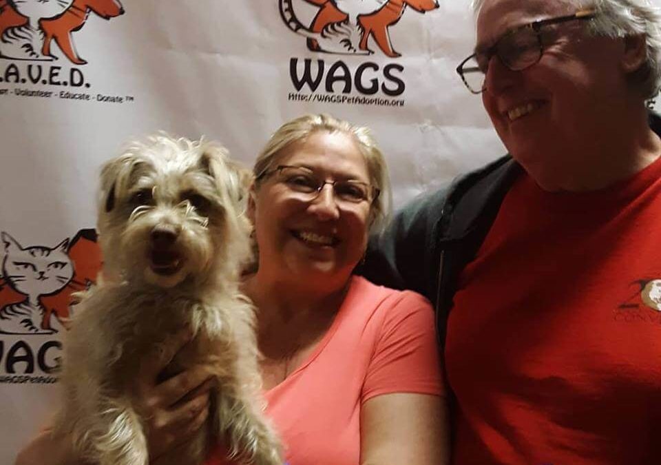 old couple adopt a dog WAGS