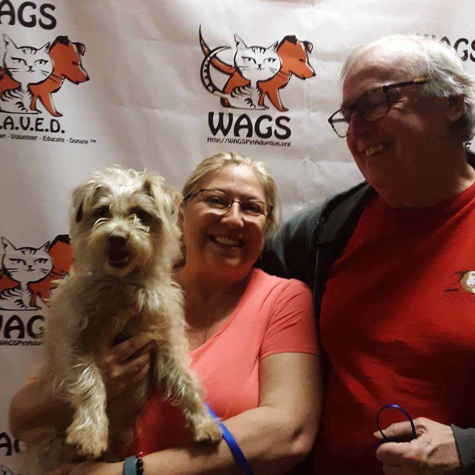 old couple adopt a dog WAGS