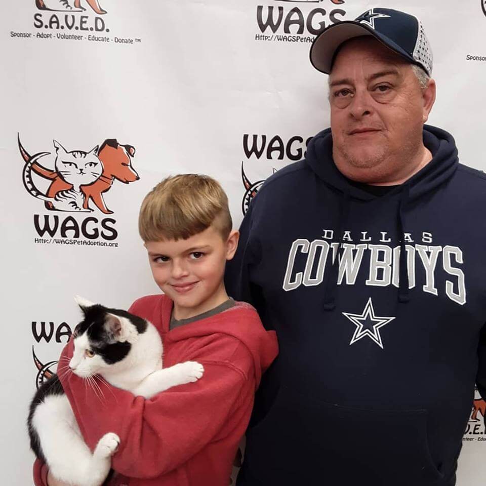 little boy  adopt a cat WAGS