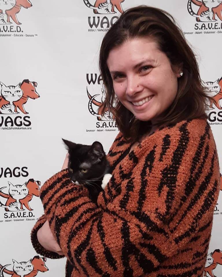 lovely kitten is now adopted WAGS