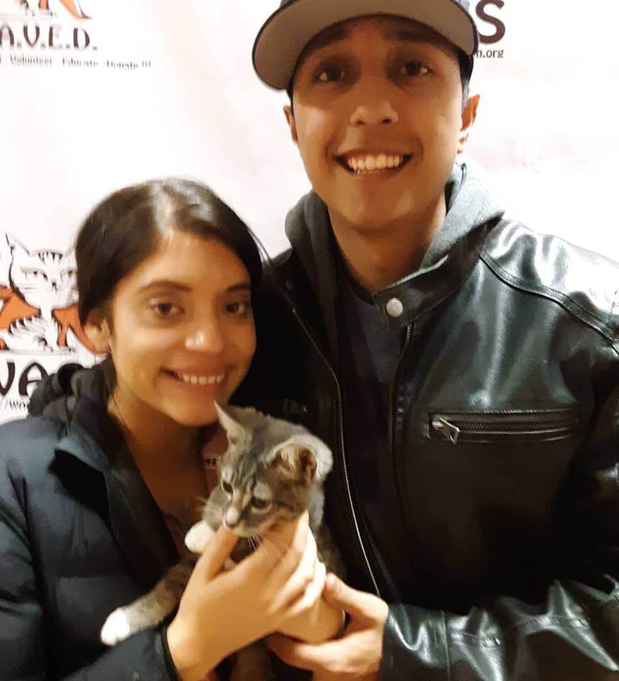 couple adopts a kitten WAGS