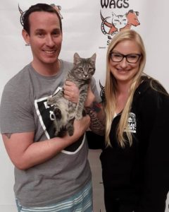 lovely cat adopt by couple WAGS