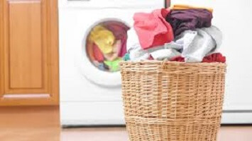wags need volunteer for laundry