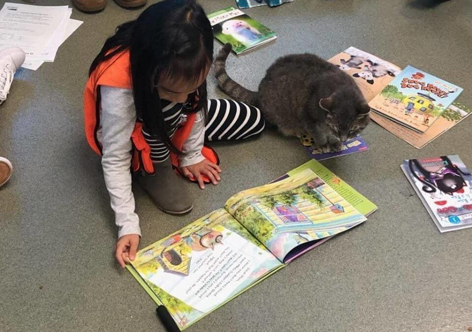 children reading at WAGS