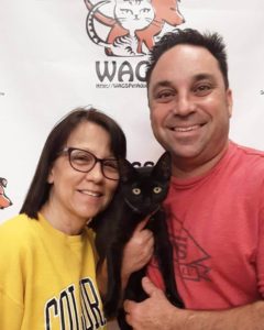 WAGS cute black cat adopted