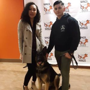 shepherd dog wags is now adopted
