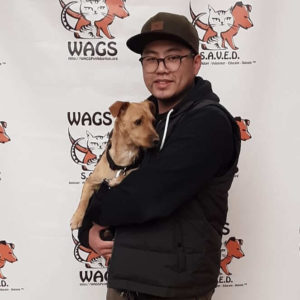great dog was now adopted at WAGS