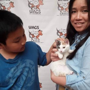 little kitten is now adopted WAGS