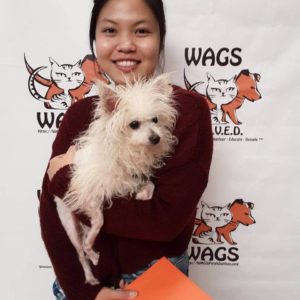 dog wags were adopted by young lady