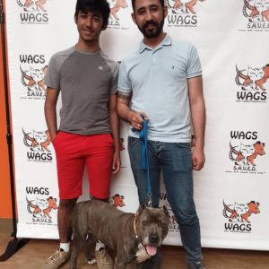 lucky dog got new owner WAGS