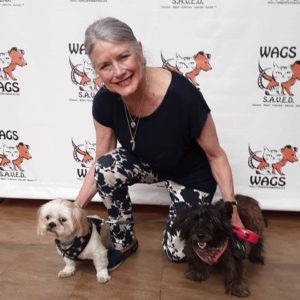 two dogs found new owner WAGS