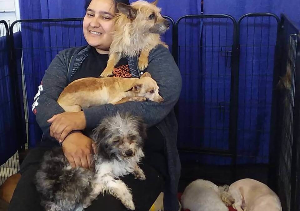 Come down to petexpo2019 and meet all of our adoptables!