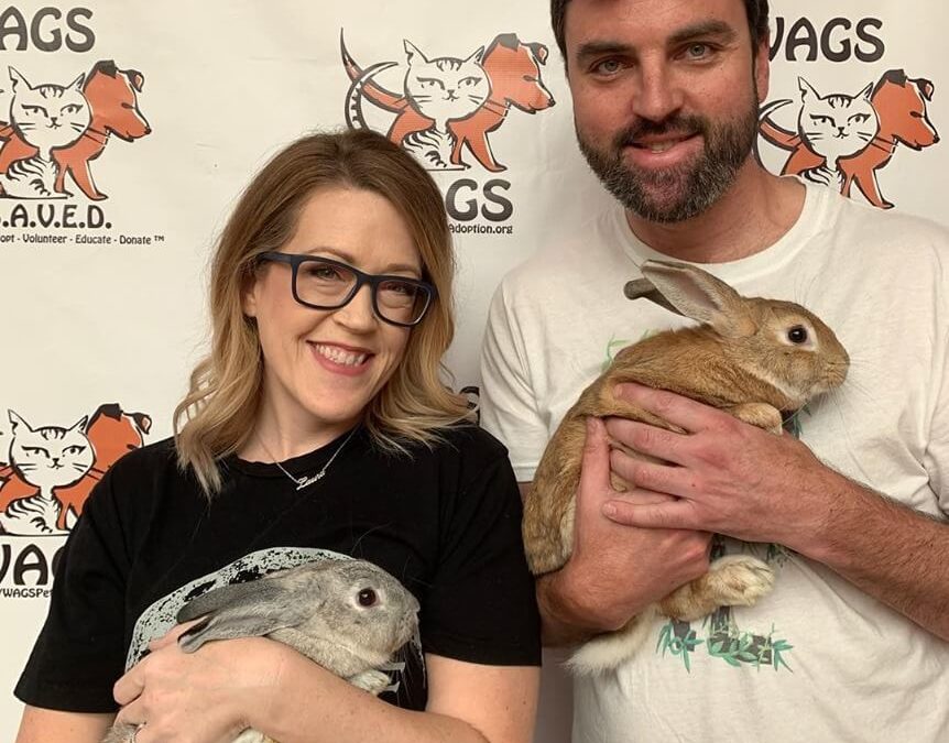 Sage and Nutmeg rabbit WAGS