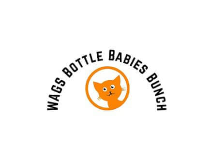 Thank you all our WAGS Bottle baby foster families