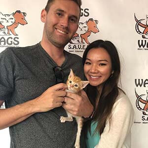 7 lucky cats were adopted 08202019 WAGS
