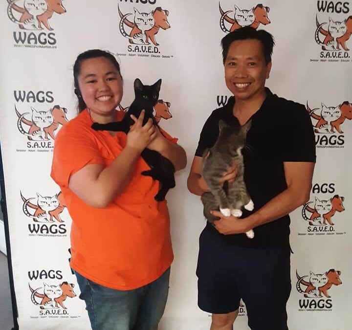 13 pets adopted today 08102019 WAGS