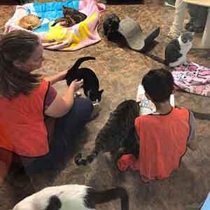 Volunteers reading to cats this morning WAGS