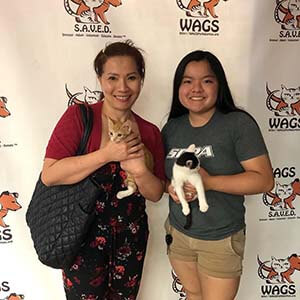 6 Pets were found new furever home WAGS