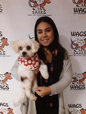 4 Pets were adopted today 10132019 at WAGS