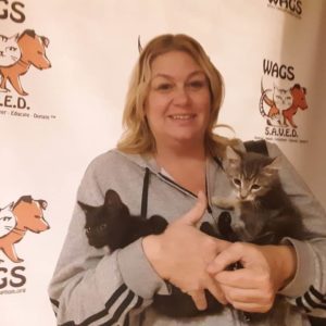 2 cute kitten ware adopte WAGS