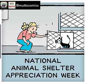Happy Animal Shelter Appreciation Week on WAGS