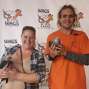 Chick Norris and Dixie Chick wags adoption
