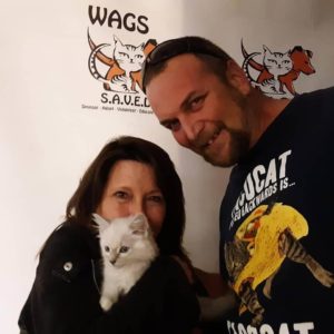 little white kitten is now adopted wags