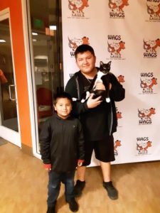 father and son exicted adopt a cat wags