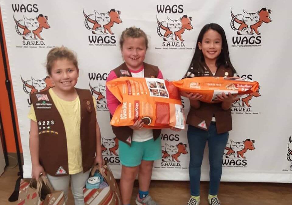 brownie trrop 6228 donations for WAGS