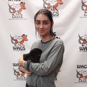 gray long sleeve girl adopt with black rabbit 