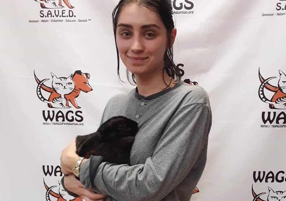 gray long sleeve girl adopt with black rabbit