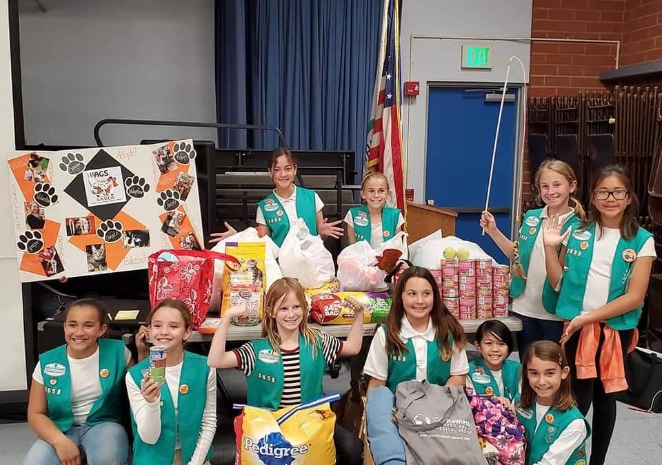 Girl Scout Troop 3658 hosted a Family Night at Schroeder Elementary!