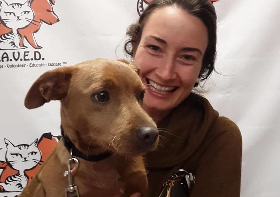 women wearing brown sweater adopts brown dog