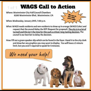 WAGS ask for help westminster stanton call to action
